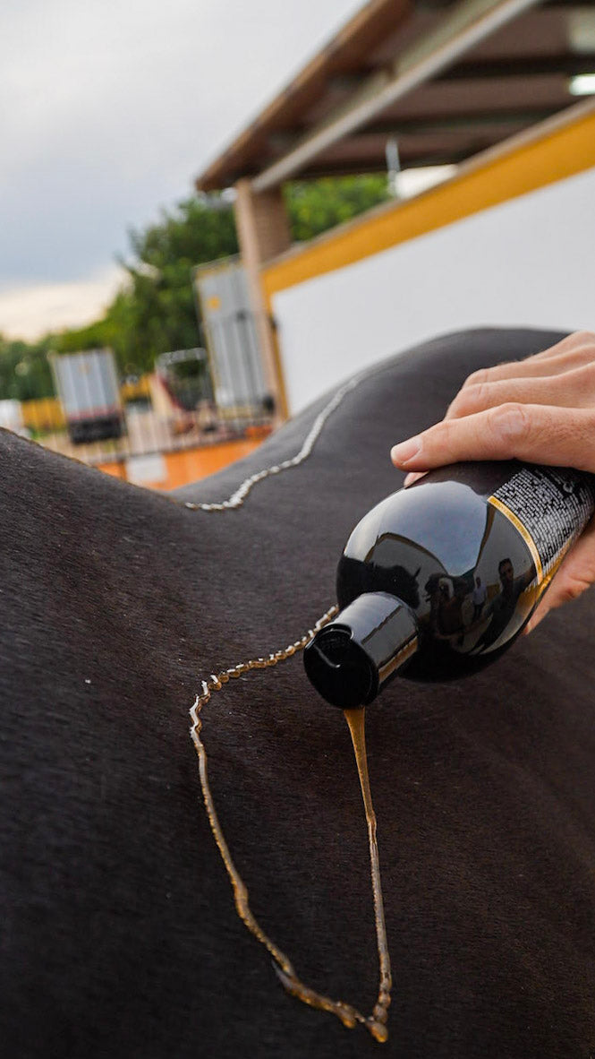 Champú Castaño – Caballos Castaños claros o encendidos 1L | 5L