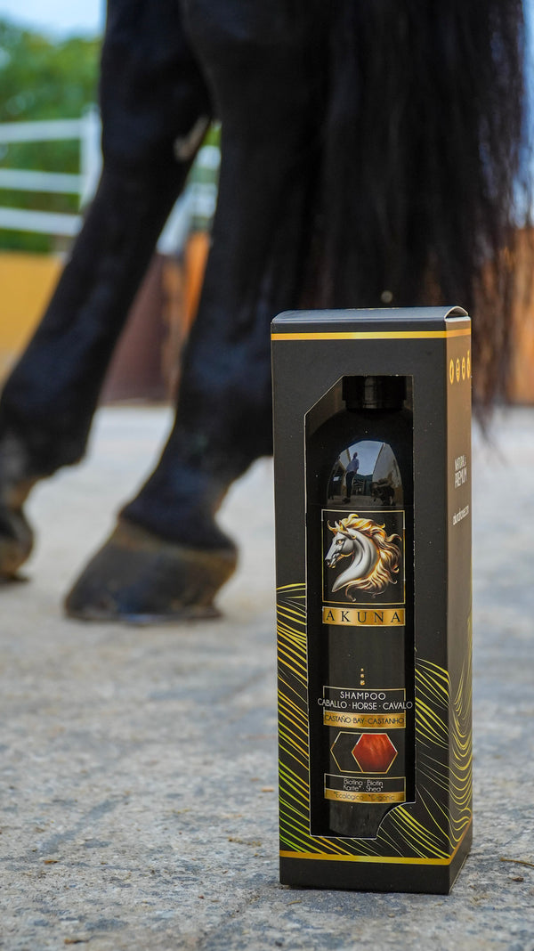 Champú Castaño – Caballos Castaños claros o encendidos 1L | 5L