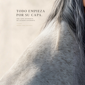 AKUNA Tordo Ritual – Rutina Completa para Caballos Tordos